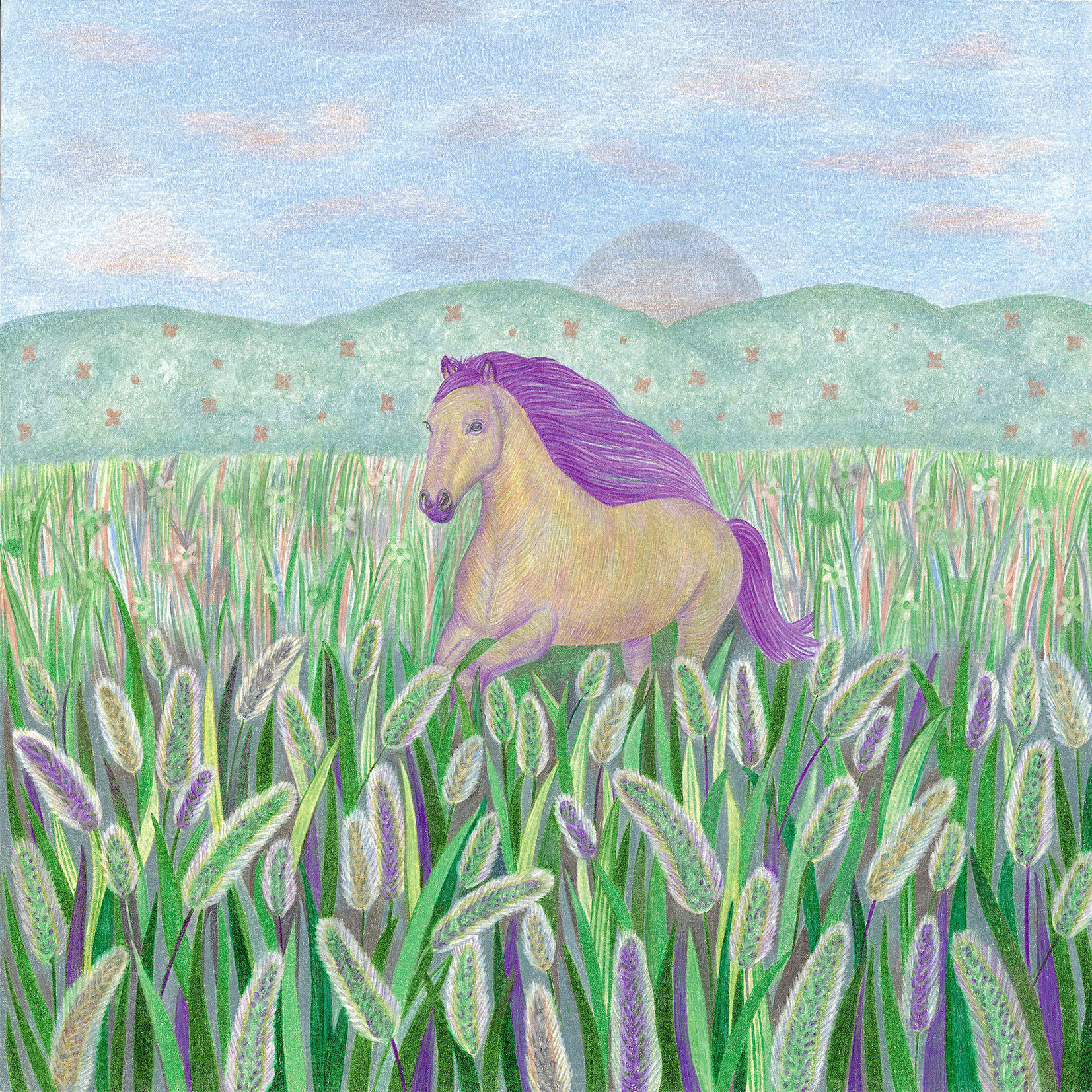 브랜드 메인 이미지